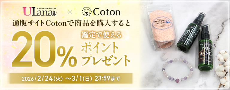 [3/1差し替え]EC購入キャンペーン