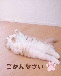 聖愛