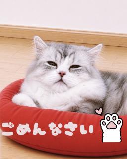 聖愛