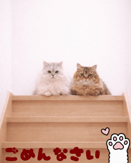 聖愛