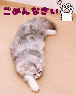 聖愛