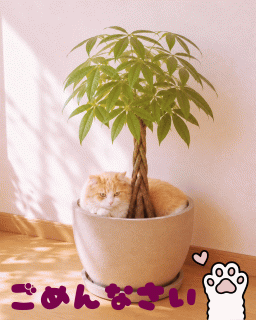 聖愛