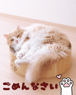 聖愛