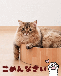 聖愛