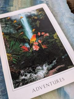 ユーラ ローワン